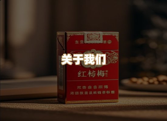 关于星澜香烟网